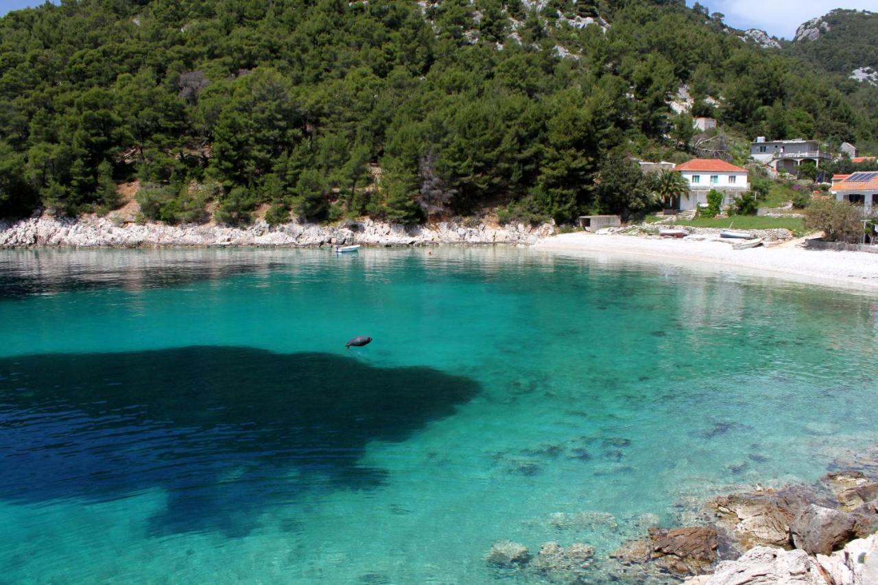 Secluded Fisherman'S Cottage Cove Skozanje, Hvar - 4009 Gdinj Zewnętrze zdjęcie